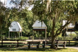 Two structures that look like car ports house bats